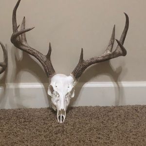 Meet your Posher, Brady